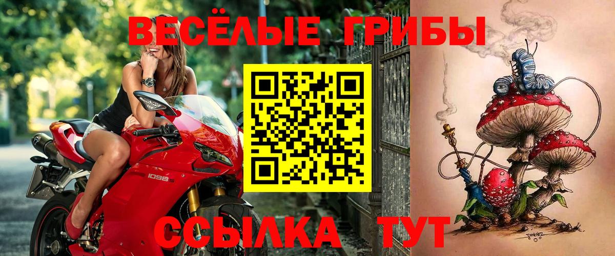Лесной  где продают наркотики  Вход с VPN  Псилоцибиновые грибы мицелий 