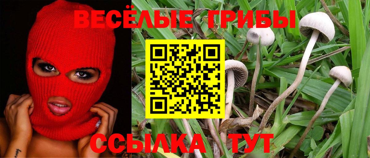 Галлюциногенные грибы Magic Shrooms Лесной
